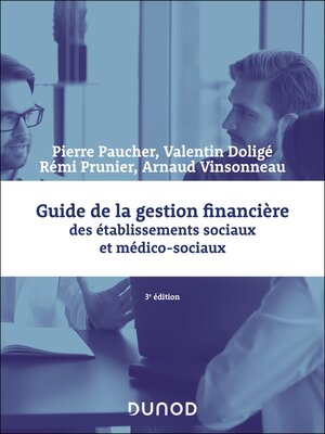 cover image of Guide de la gestion financière des établissements sociaux et médico-sociaux